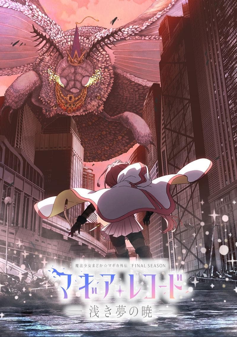 魔法纪录 魔法少女小圆外传 Final SEASON -浅梦的黎明-